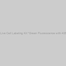 Image of Cell Explorer™ Live Cell Labeling Kit *Green Fluorescence with 405 nm Excitation*
